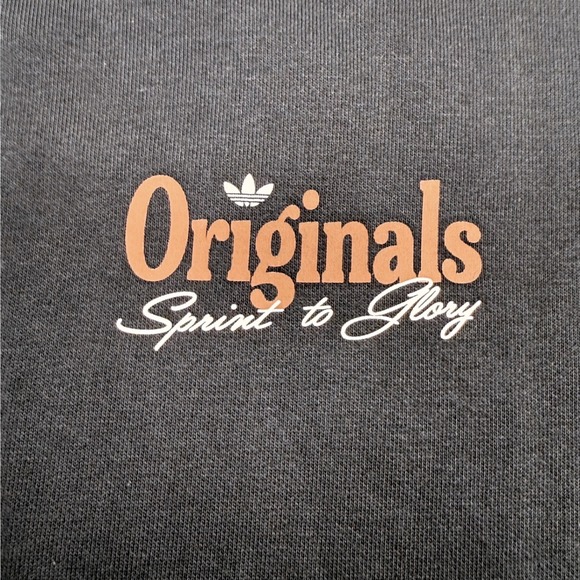 Adidas Originals World Tour Sprint to Glory Graphic Hoodie Gray Men's - Picture 6 of 8